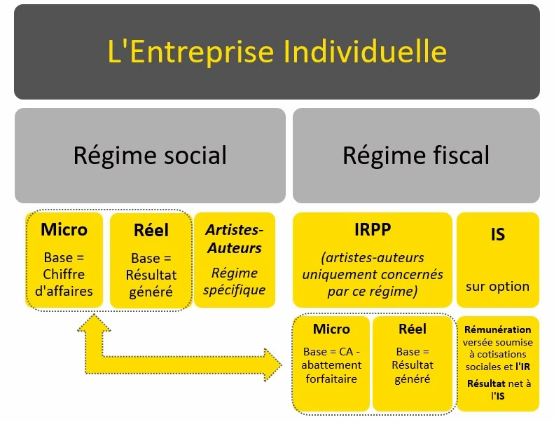 Schéma des régimes sociaux et fiscaux de l'entreprise individuelle